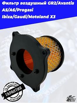 Фильтр воздушный GR2/Avantis A5/A6/Progasi Ibiza/Gaudi/Motoland X3