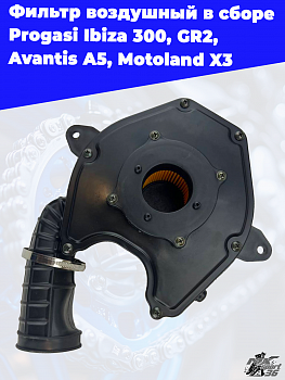 фильтр воздушный в сборе Progasi Ibiza 300, GR2, Avantis A5, Motoland X3