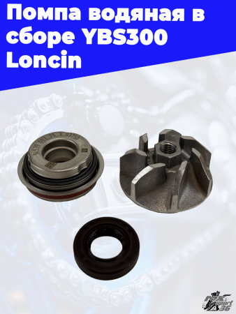 4 Помпа водяная в сборе YBS300 Loncin 6