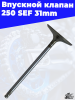 Впускной клапан 250 SEF 31mm 1