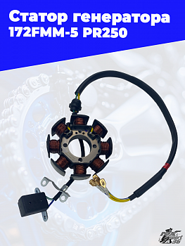 Статор генератора 172FMM-5 PR250