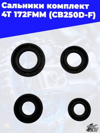 8 сальники комплект 4T 172FMM (CB250D-F) 2