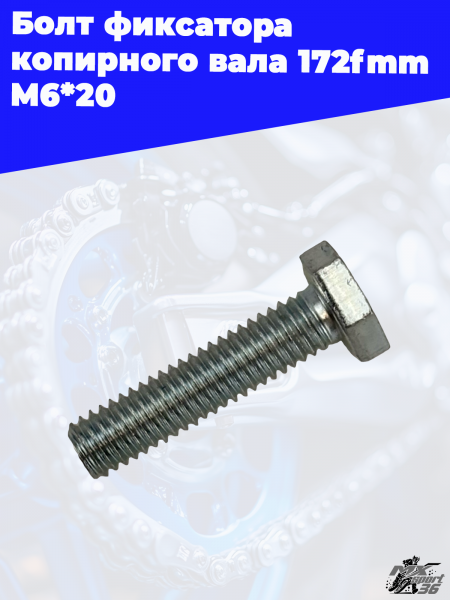 17_Болт_фиксатора_копирного_вала_172fmm_M6_20_3