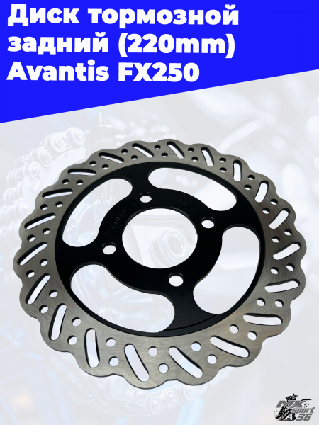 15_диск_тормозной_задний_220mm_Avantis_FX250_2