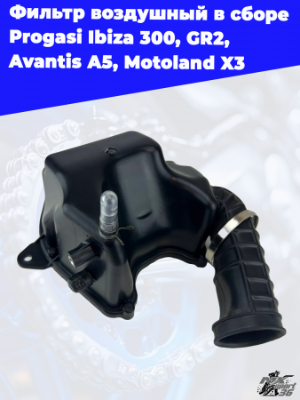 фильтр_воздушный_в_сборе_Progasi_Ibiza_300,_GR2,_Avantis_A5,_Motoland (1)