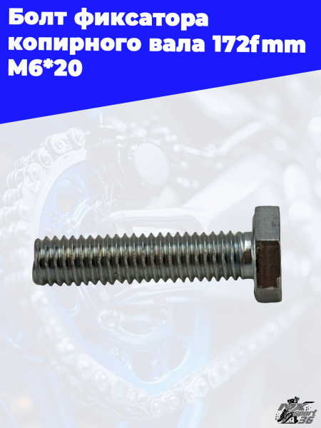 17_Болт_фиксатора_копирного_вала_172fmm_M6_20_2